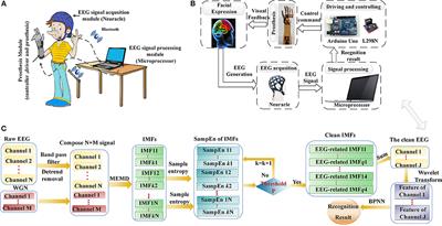 An Approach for Brain-Controlled Prostheses Based on a Facial Expression Paradigm